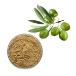 Olive Leaf Extract Supplier - Natural Powder Drum Packaging