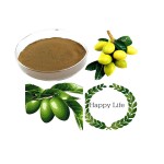 Olive Leaf Extract Supplier - Natural Powder Drum Packaging