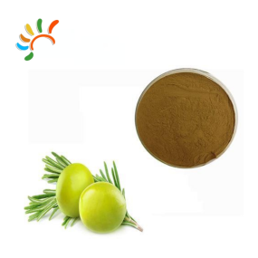 Olive Leaf Extract Supplier - Natural Powder Drum Packaging