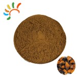 Chaga Mushroom Powder Factory - Food Grade Herbal Extract