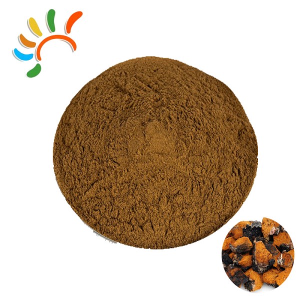 Chaga Mushroom Powder Factory - Food Grade Herbal Extract