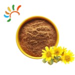 Arnica Powder Supplier - Natural Montana Flower Extract