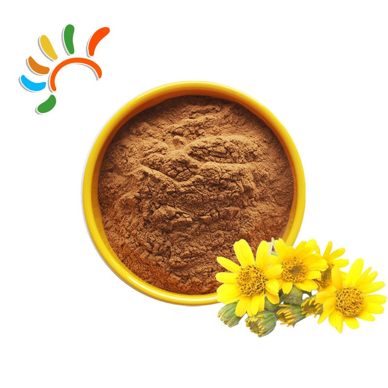 Arnica Powder Supplier - Natural Montana Flower Extract