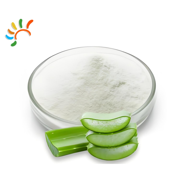 Aloe Extract Powder Factory - 100:1 200:1 Concentrated
