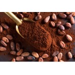 Cocoa Powder Supplier - Plant Extract Wholesale Price