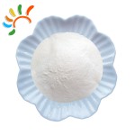 Thiamine Mononitrate Factory - Vitamin B1 Industrial Use