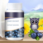 Black Currant Extract Manufacturer - 25% Anthocyanins Organic