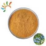 Juniper Extract Manufacturer - Communis Powder Plant