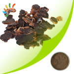 Black Ginger Powder Factory - High Gingerols Antioxidant