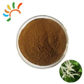 Black Cohosh Powder Factory - Herbal Extract Drum Packaging