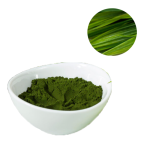 Chlorella Powder Factory - Food Grade Herbal Extract