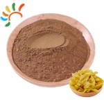 Chicken Gizzard Extract Factory - Natural Digestive Aid