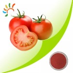 Lycopene Powder Supplier - 1-10% Tomato Extract HPLC