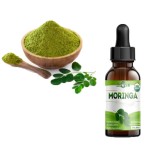 Moringa Leaf Extract Supplier - Green Powder Factory