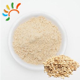 Oat Powder Manufacturer - Gluten Free Cereal Ingredient