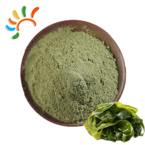 Seaweed Powder Manufacturer - Ocean Mineral Herbal Extract