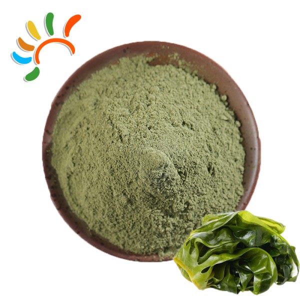 Seaweed Powder Manufacturer - Ocean Mineral Herbal Extract