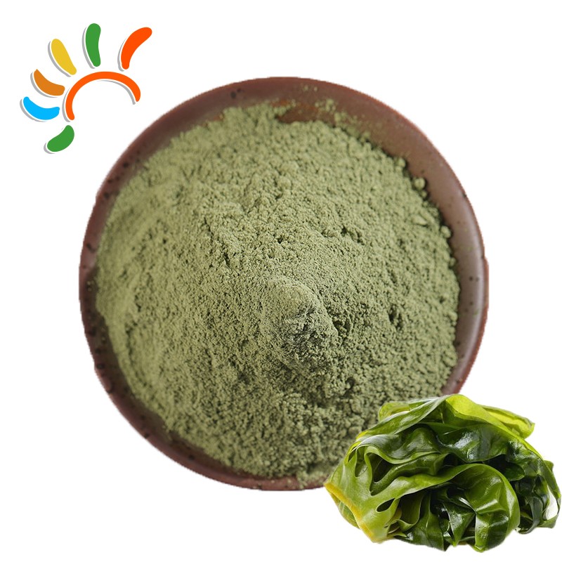 Seaweed Powder Manufacturer - Ocean Mineral Herbal Extract