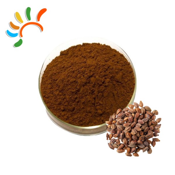 Cassia Seed Extract Supplier - Natural Plant Food Beverage