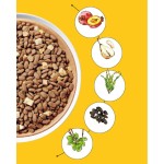 Seaweed Powder Manufacturer - Ocean Mineral Herbal Extract