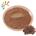 Clove Powder Manufacturer - 25kg Industrial Use Bulk