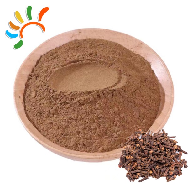 Clove Powder Manufacturer - 25kg Industrial Use Bulk