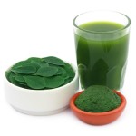 Moringa Leaf Powder Supplier - Superfood Green Powder