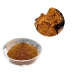 Chaga Mushroom Powder Factory - Food Grade Herbal Extract