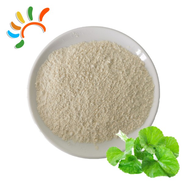 Centella Extract Manufacturer - 10:1 Asiaticoside Rich