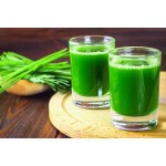 Wheatgrass Powder Supplier - Food Grade Superfood Extract
