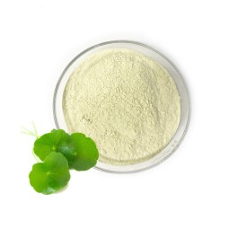 Centella Extract Factory - 80% Asiaticosides Quality