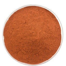 Grape Seed Extract Factory - 95% OPC Polyphenol Bulk