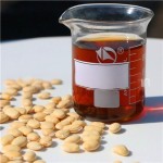 Hyacinth Bean Extract Factory - Lablab Purpureus Plant