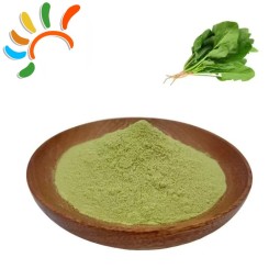 Spinach Powder Factory - Nutrient Rich Food Grade
