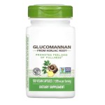 Konjac Powder Factory - 98% Glucomannan Soluble Fiber