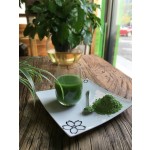 Barley Grass Powder Manufacturer - Young Leaf Herbal Supplement