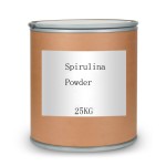 Spirulina Powder Manufacturer - Pure Plant Extract Premium