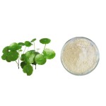 Centella Extract Factory - 80% Asiaticosides Quality