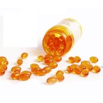 Sea Buckthorn Extract Factory - Natural Orange Fruit Powder