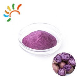 Purple Yam Powder Factory - Ube Herbal Extract Bulk