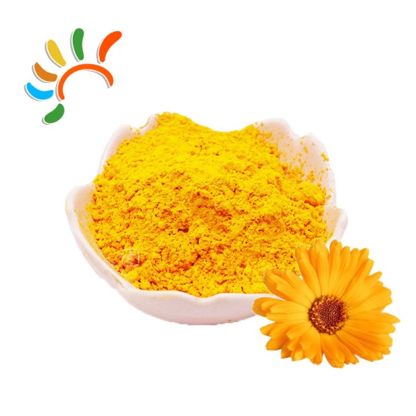 Lutein Powder Supplier - 20% Marigold Flower Extract