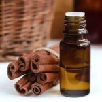 Cinnamon Extract Manufacturer - Premium Bark Functional