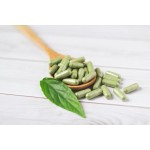 Angelica Extract Supplier - Bai Zhi Root Plant Extract