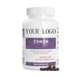 Chaga Mushroom Powder Factory - Food Grade Herbal Extract