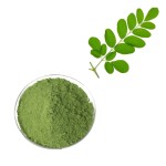Moringa Leaf Extract Supplier - Green Powder Factory