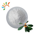 Ursolic Acid Powder Manufacturer - 98% Triterpenoid Plant