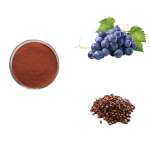 Grape Seed Extract Supplier - Premium Plant Extract Bulk