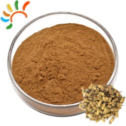 Daidai Flower Extract Supplier - Citrus Botanical Cosmetic