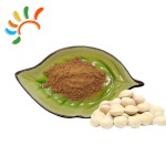 Ginkgo Seed Extract Manufacturer - White Fruit Food Grade