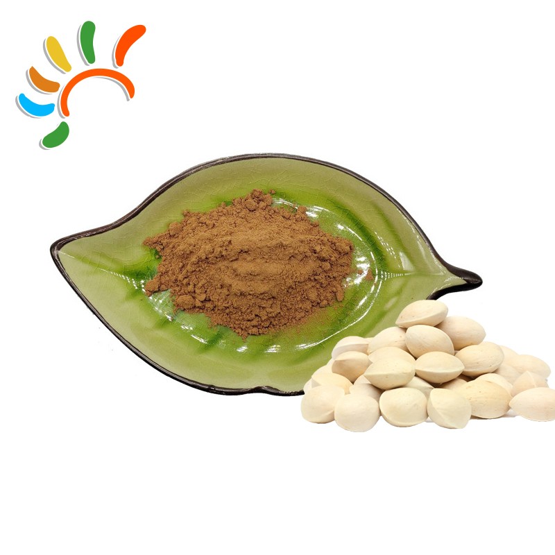 Ginkgo Seed Extract Manufacturer - White Fruit Food Grade